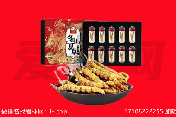 林周县回收虫草.jpg